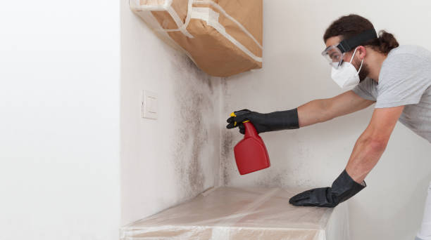 Professional Black Mold Removal technician working in Valley Stream, NY