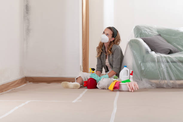 Reliable Black Mold Removal contractor in Valley Stream, NY by WQB Mold Removal